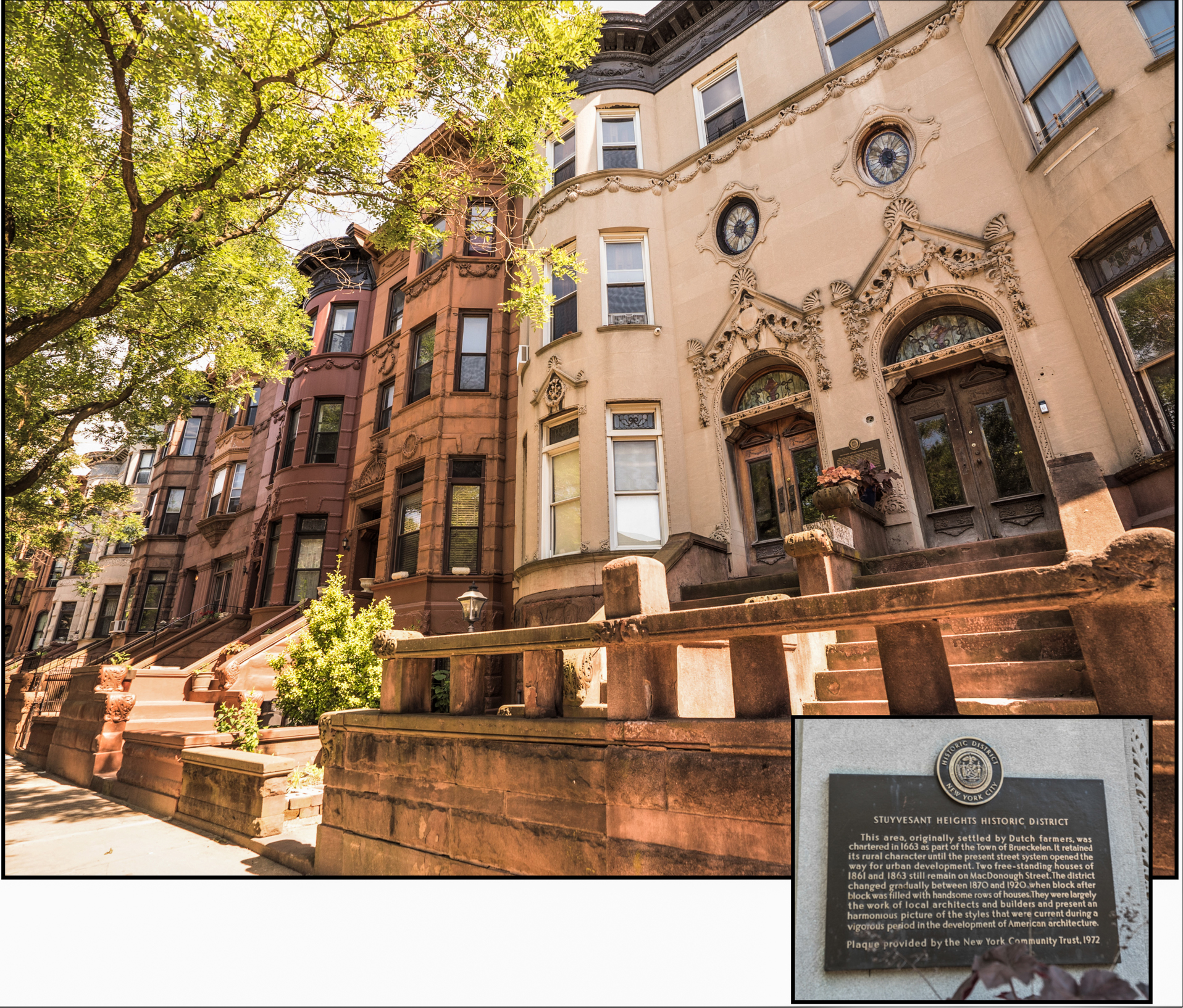 Brooklyn's Historic Neighborhood- Prospect Heights
